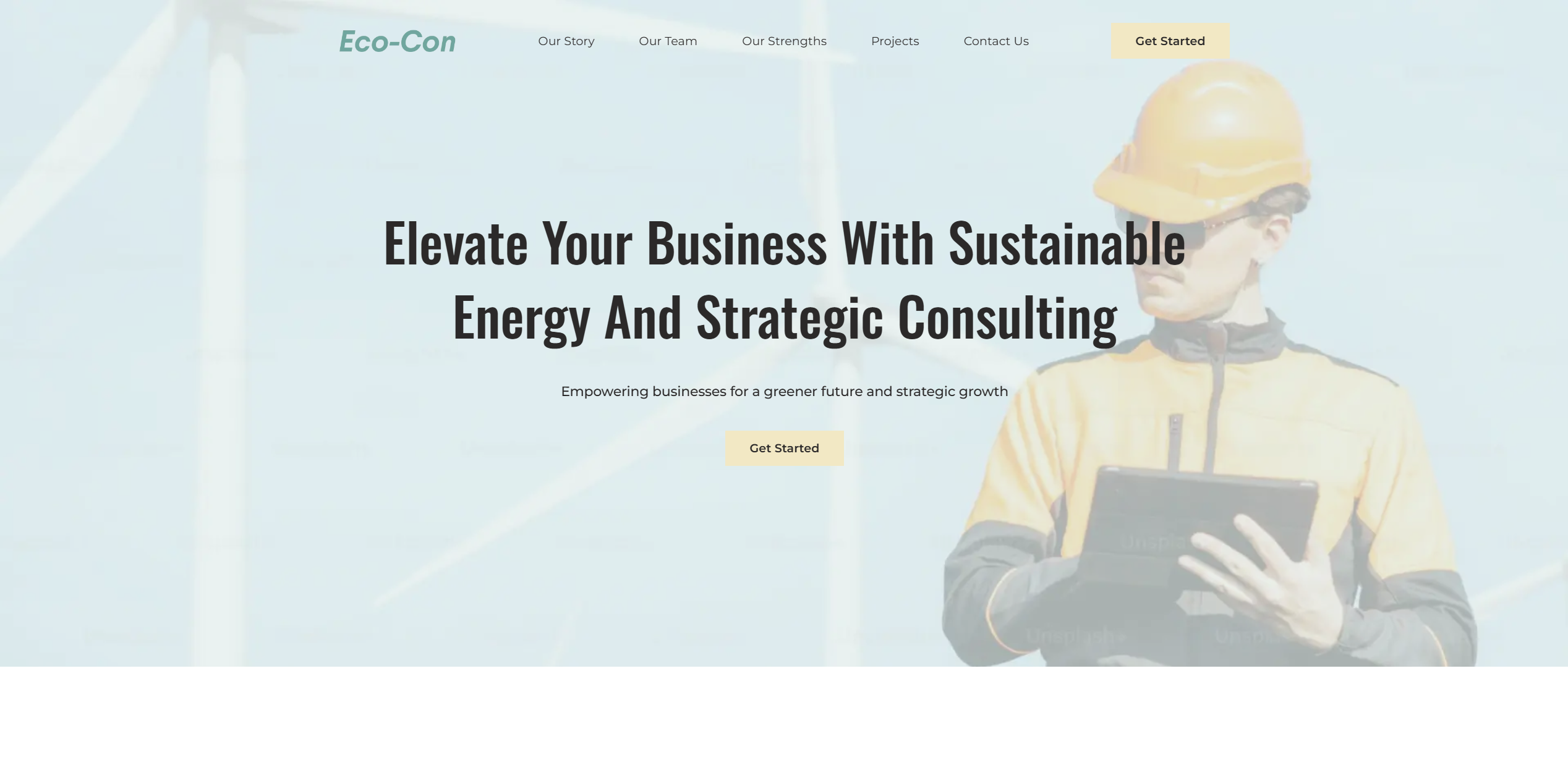 Business website